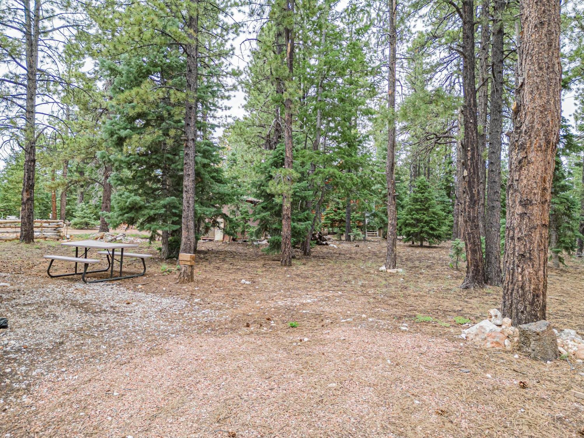 Hillside Hideaway Vila Duck Creek Village Exterior foto